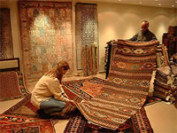 Carpet Investment